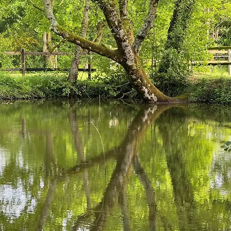 La Maison De L'etang Manerbe