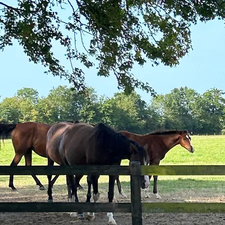 بيت للعطل La Maison De L'etang