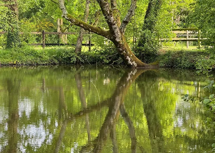La Maison De L'etang Manerbe