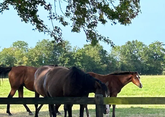 Holiday home La Maison De L'etang