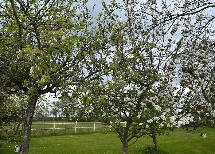 La Maison De L'etang Holiday home *