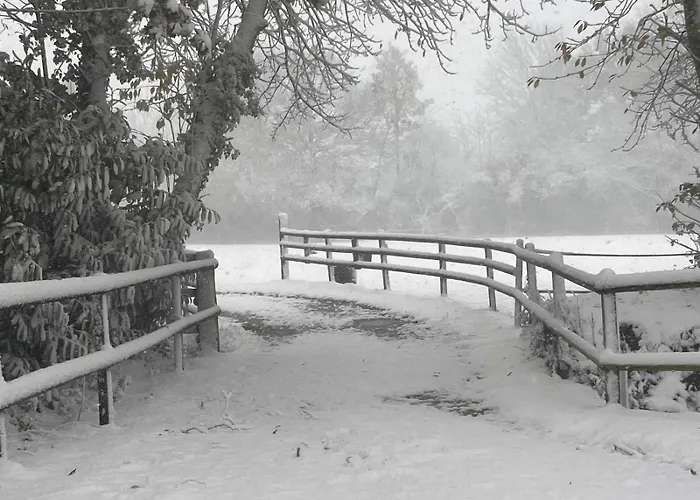La Maison De L'etang