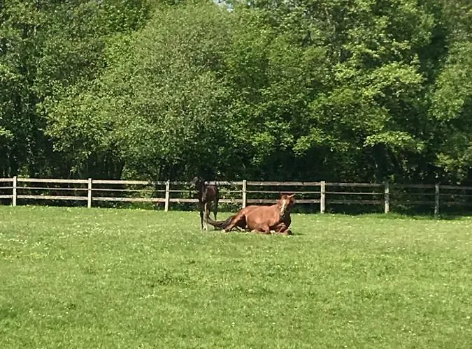 La Maison De L'etang Manerbe